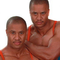 Gemini (Hammer & Sledge) Roger & Rodney Lewis